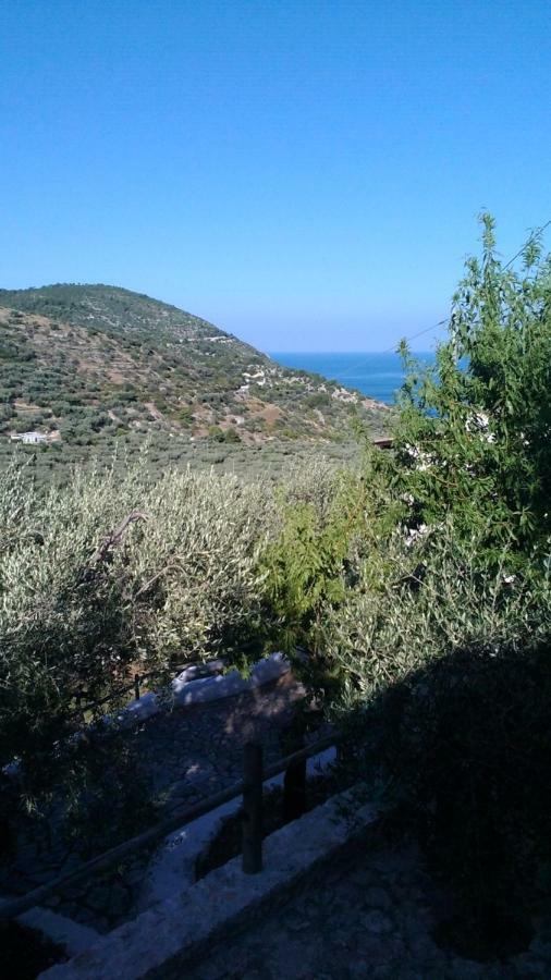 Residence Montelci Mattinata Εξωτερικό φωτογραφία